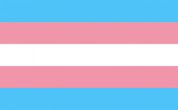 Flagge: Trans*
